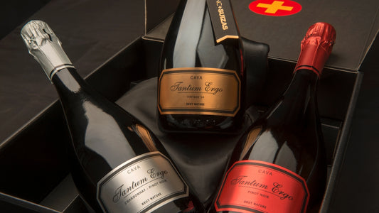 Cava Tantum Ergo Rosé Hispano Suizas
